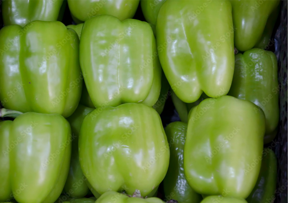 Green Capsicums