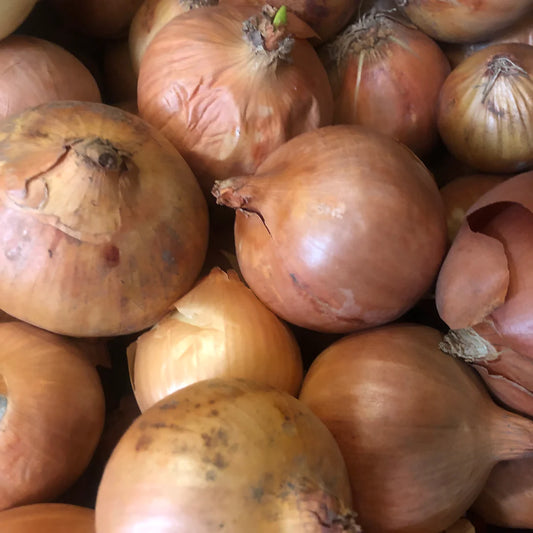 Brown Onions